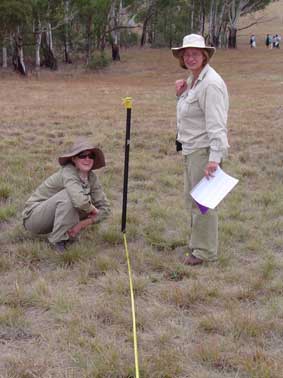 plant survey at Yarrmundi Reach